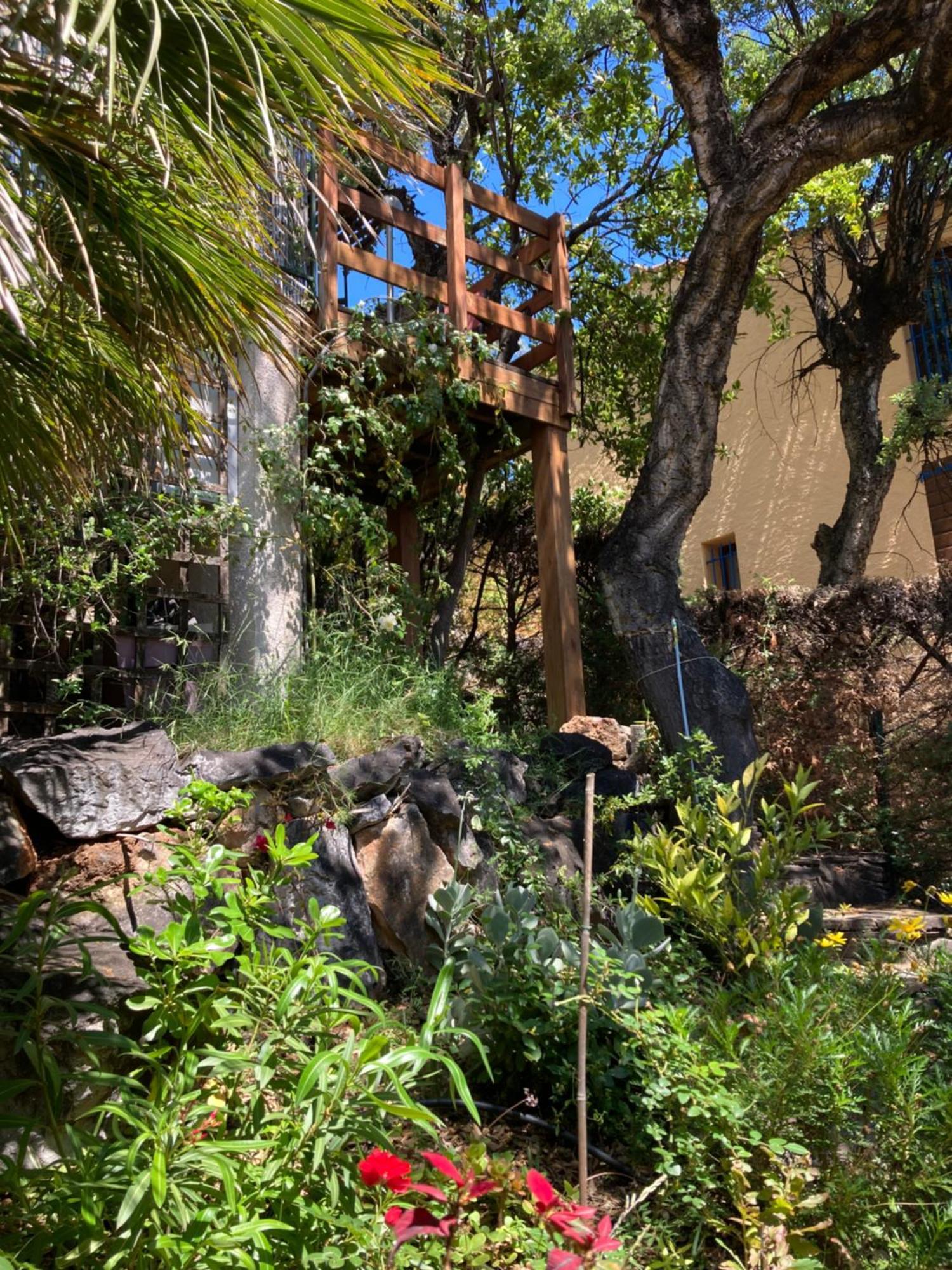 Les Chenes-Lieges D'Ambeille Apartment Collioure Exterior foto